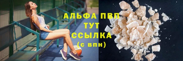шишки Алзамай