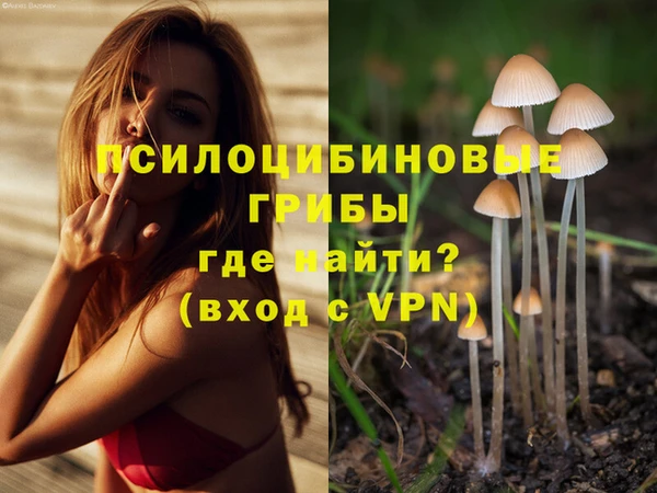 шишки Алзамай