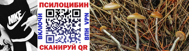 купить наркотик  Сорочинск  Галлюциногенные грибы ЛСД 