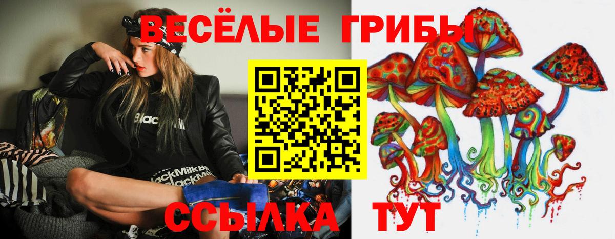 Галлюциногенные грибы Psilocybe  Вход с VPN  цены наркотик  Сорочинск 