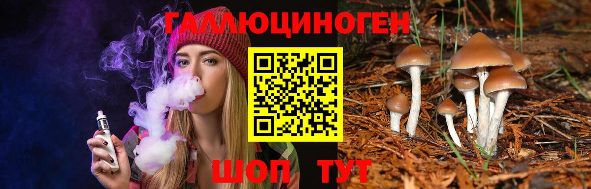 Псилоцибиновые грибы GOLDEN TEACHER Сорочинск
